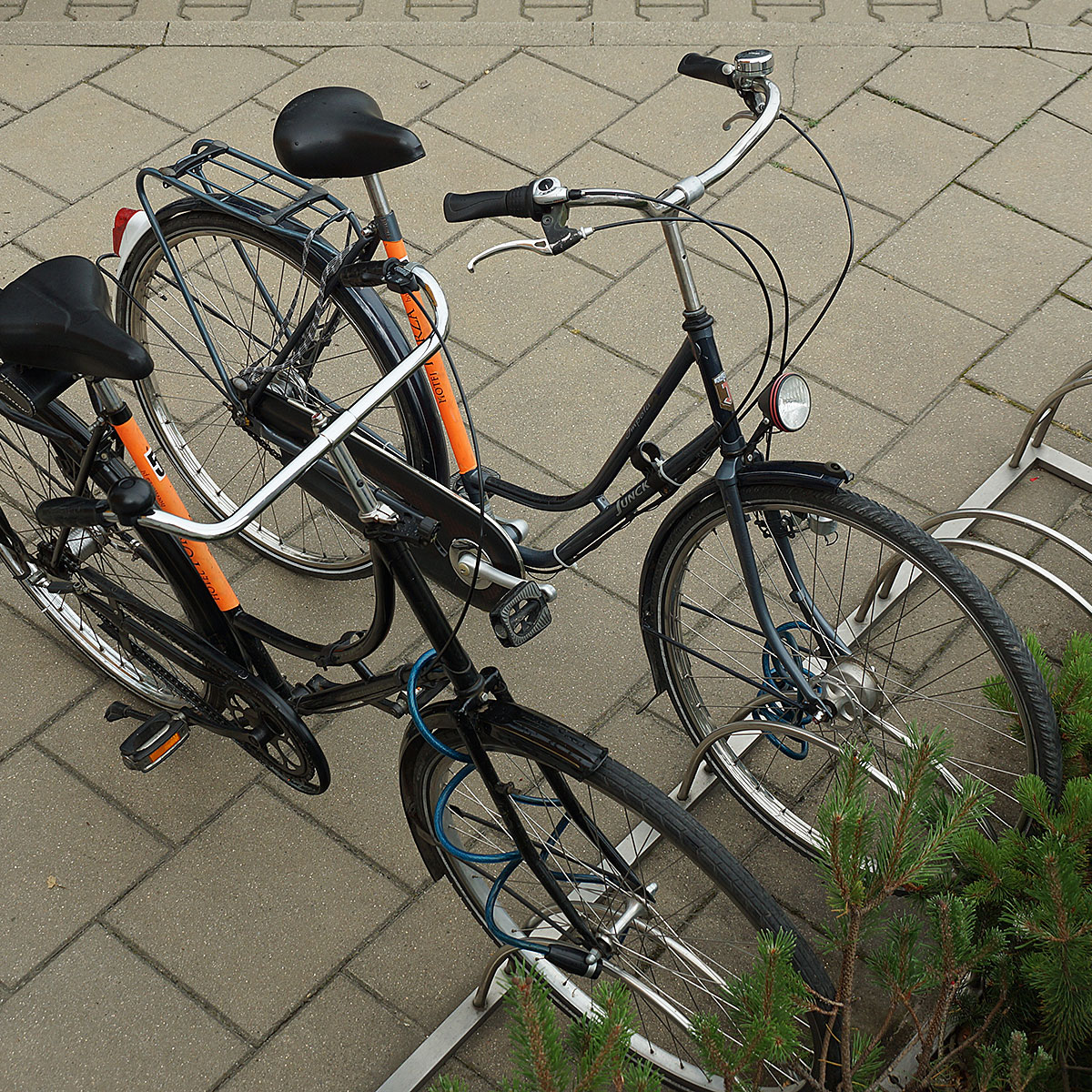 Hotel ForZa*** rowery dla Gości / bicycles for Guests